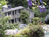 Isle of Wight Holiday Cottages